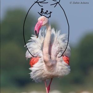 Meet your Posher, Jena